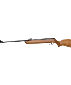 Gamo Big Cat Hunter 1250fps .22