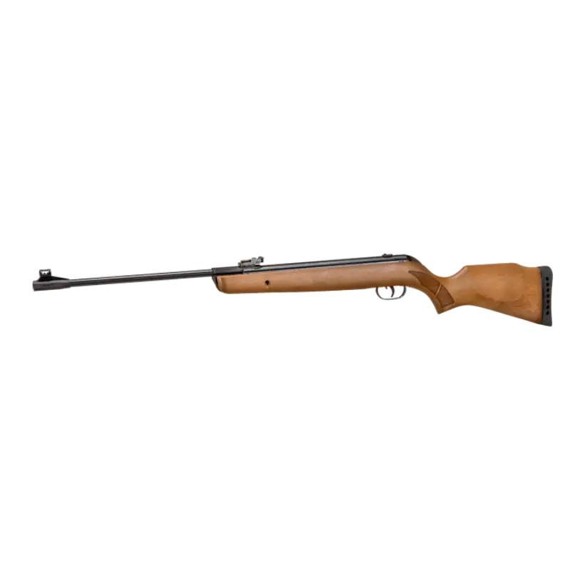 Gamo Big Cat Hunter 1250fps .22 1 Gamo Big Cat Hunter 1250fps .22
